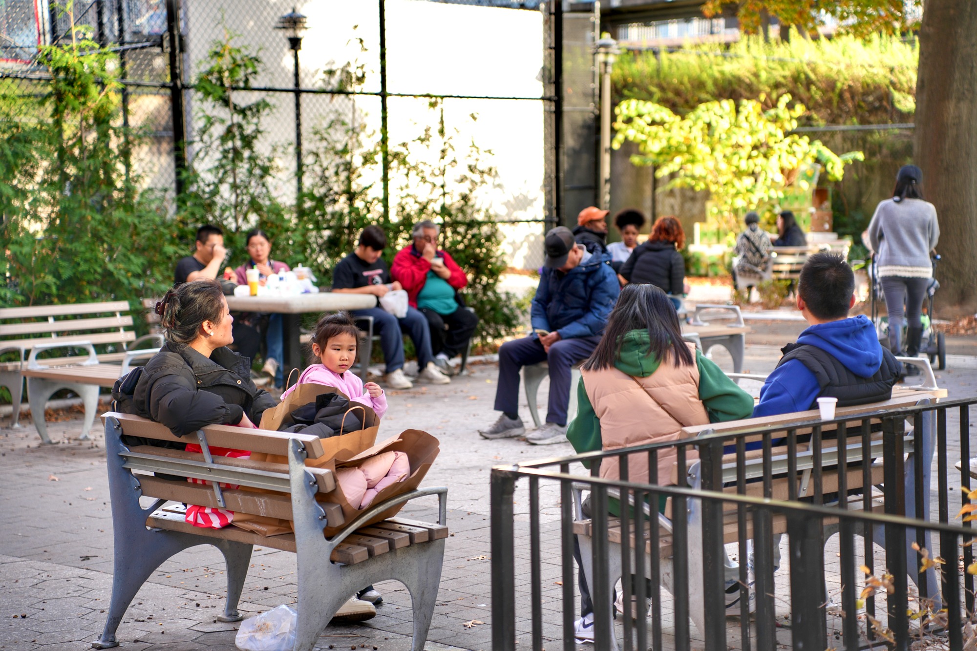 Residents of several generations spend a quiet afternoon in a Flushing park. Nov. 8, 2025.